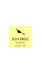Mobile Screenshot of felixamsel.com